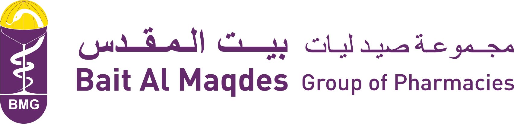 BMG Logo